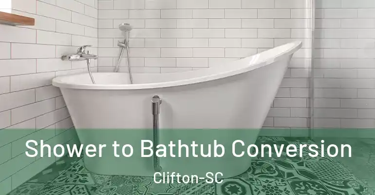 inner Bathroom imggen Shower to Bathtub Conversion Clifton-SC