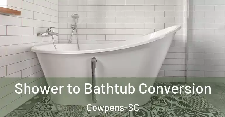 inner Bathroom imggen Shower to Bathtub Conversion Cowpens-SC