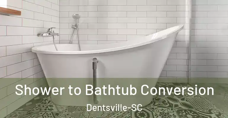 inner Bathroom imggen Shower to Bathtub Conversion Dentsville-SC