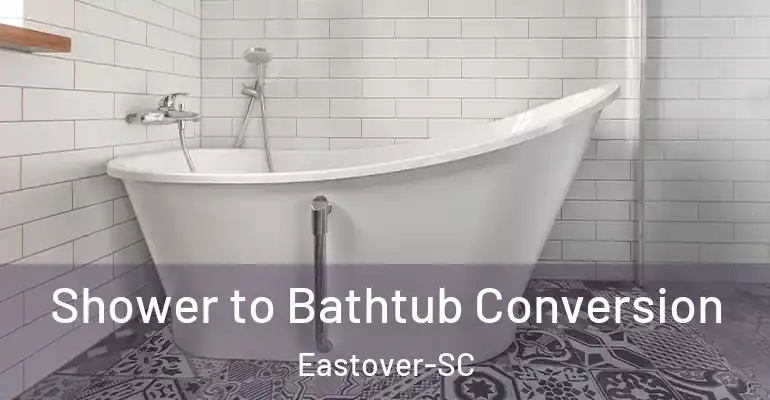 inner Bathroom imggen Shower to Bathtub Conversion Eastover-SC