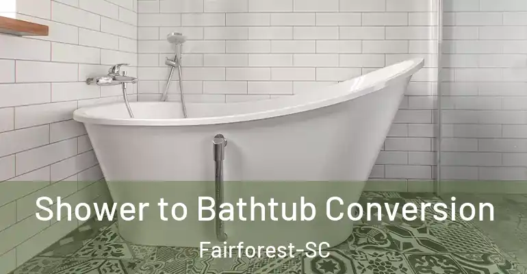 inner Bathroom imggen Shower to Bathtub Conversion Fairforest-SC