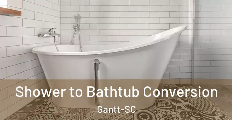 inner Bathroom imggen Shower to Bathtub Conversion Gantt-SC