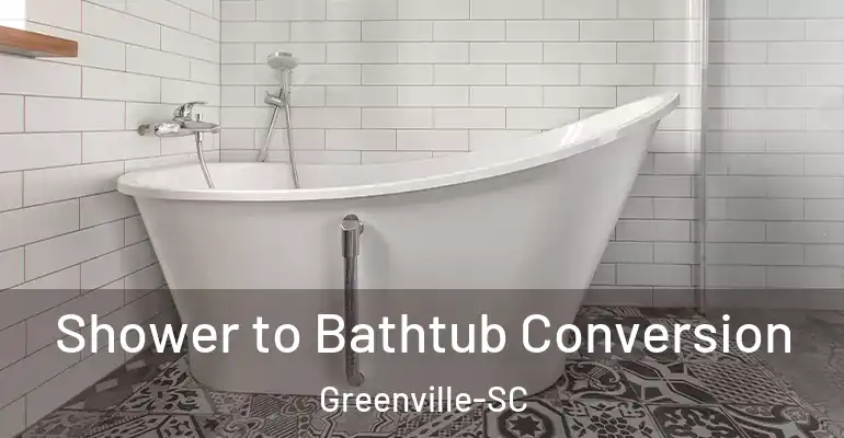 inner Bathroom imggen Shower to Bathtub Conversion Greenville-SC