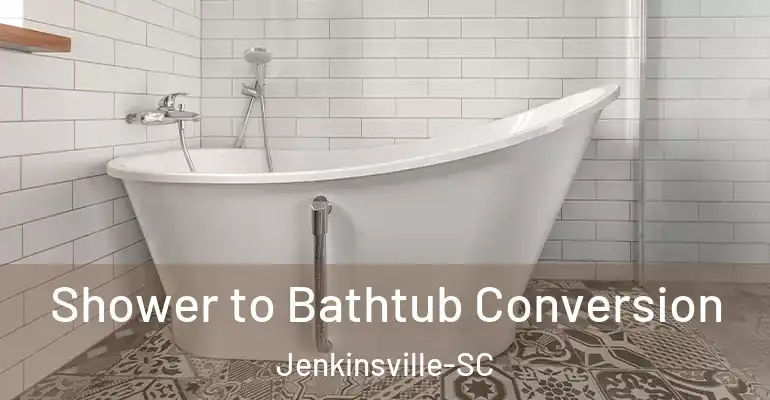 inner Bathroom imggen Shower to Bathtub Conversion Jenkinsville-SC