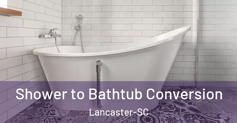 inner Bathroom imggen Shower to Bathtub Conversion Lancaster-SC
