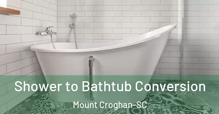 inner Bathroom imggen Shower to Bathtub Conversion Mount Croghan-SC