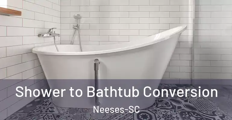 inner Bathroom imggen Shower to Bathtub Conversion Neeses-SC