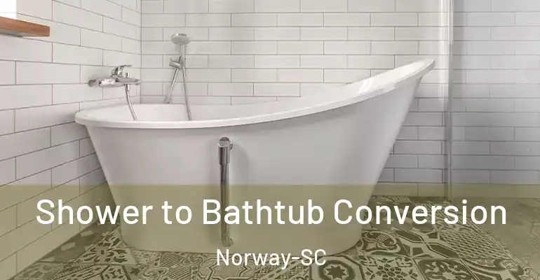 inner Bathroom imggen Shower to Bathtub Conversion Norway-SC