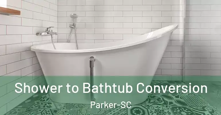 inner Bathroom imggen Shower to Bathtub Conversion Parker-SC