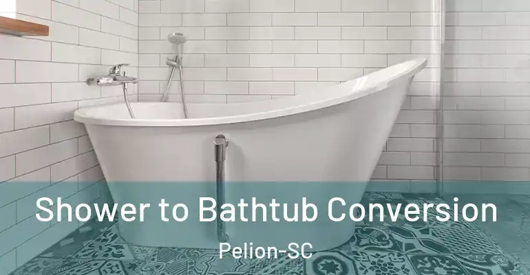 inner Bathroom imggen Shower to Bathtub Conversion Pelion-SC