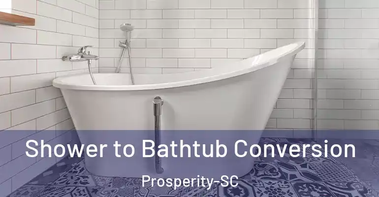 inner Bathroom imggen Shower to Bathtub Conversion Prosperity-SC