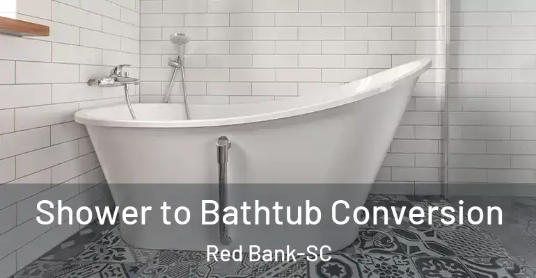 inner Bathroom imggen Shower to Bathtub Conversion Red Bank-SC