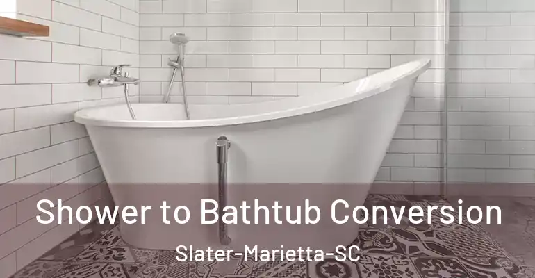 inner Bathroom imggen Shower to Bathtub Conversion Slater-Marietta-SC