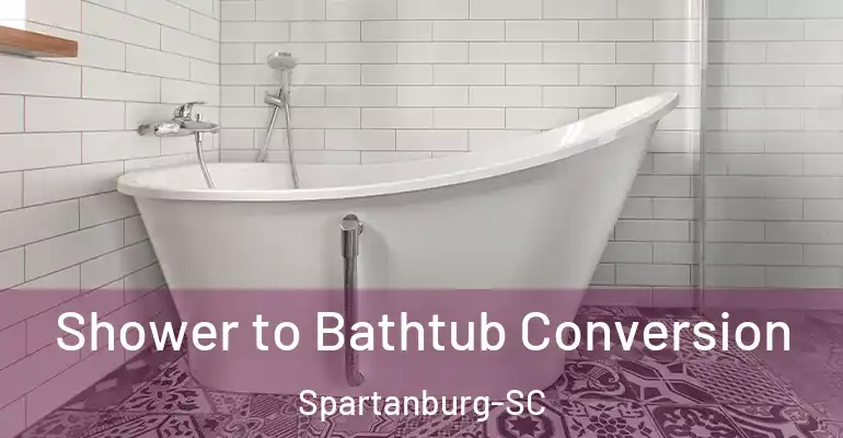 inner Bathroom imggen Shower to Bathtub Conversion Spartanburg-SC
