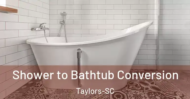 inner Bathroom imggen Shower to Bathtub Conversion Taylors-SC