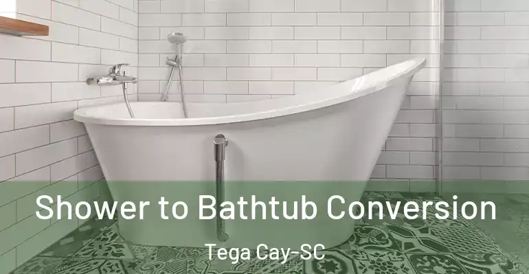 inner Bathroom imggen Shower to Bathtub Conversion Tega Cay-SC