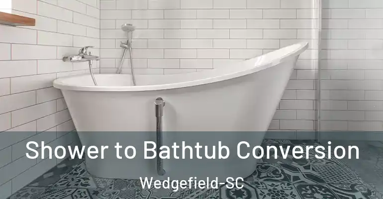 inner Bathroom imggen Shower to Bathtub Conversion Wedgefield-SC