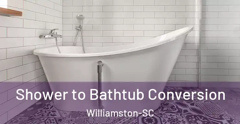 inner Bathroom imggen Shower to Bathtub Conversion Williamston-SC