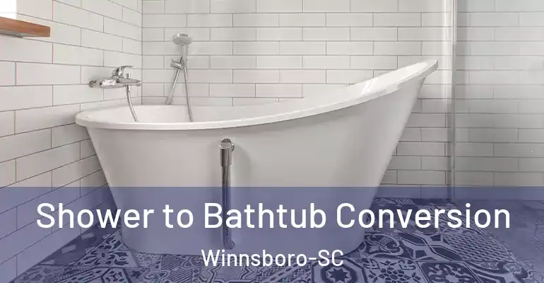 inner Bathroom imggen Shower to Bathtub Conversion Winnsboro-SC