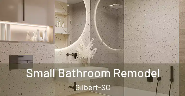 inner Bathroom imggen Small Bathroom Remodel Gilbert-SC
