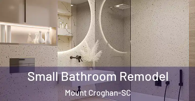 inner Bathroom imggen Small Bathroom Remodel Mount Croghan-SC
