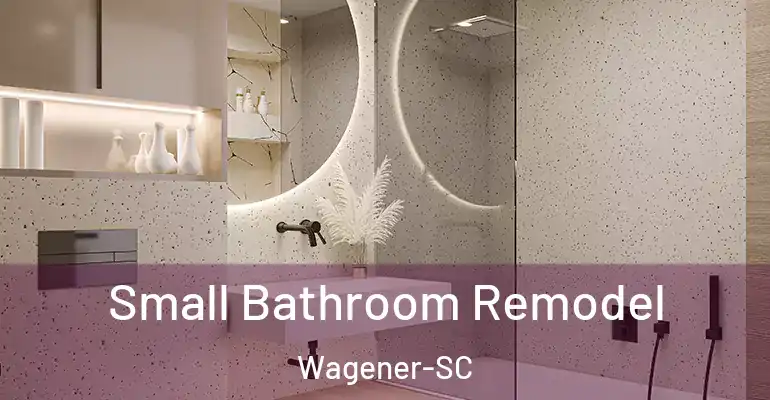inner Bathroom imggen Small Bathroom Remodel Wagener-SC