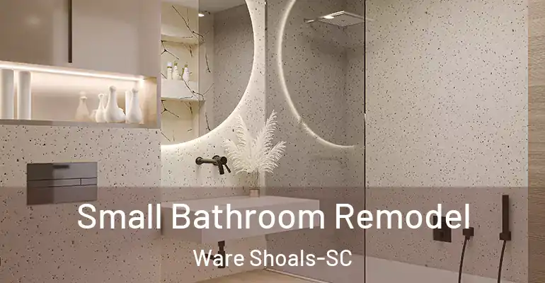 inner Bathroom imggen Small Bathroom Remodel Ware Shoals-SC