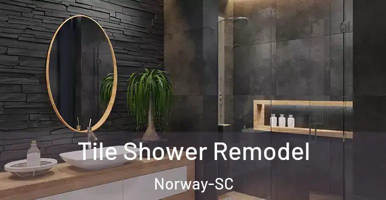 inner Bathroom imggen Tile Shower Remodel Norway-SC