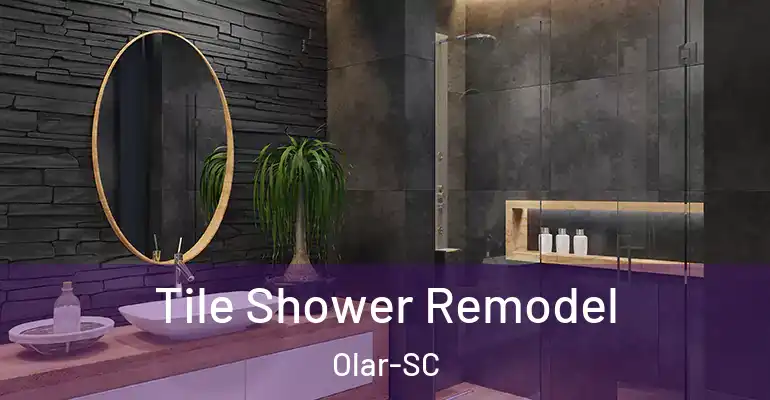 inner Bathroom imggen Tile Shower Remodel Olar-SC