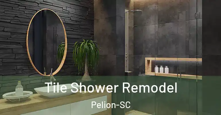 inner Bathroom imggen Tile Shower Remodel Pelion-SC