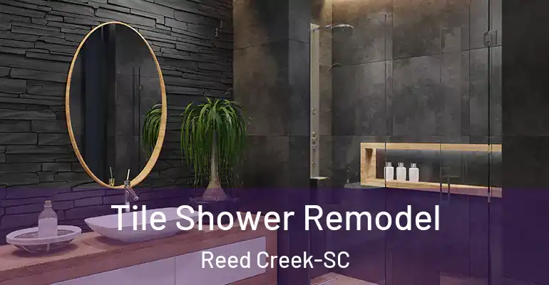 inner Bathroom imggen Tile Shower Remodel Reed Creek-SC