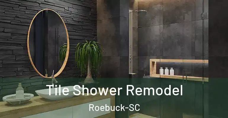 inner Bathroom imggen Tile Shower Remodel Roebuck-SC