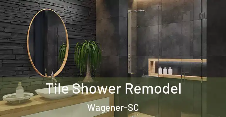 inner Bathroom imggen Tile Shower Remodel Wagener-SC