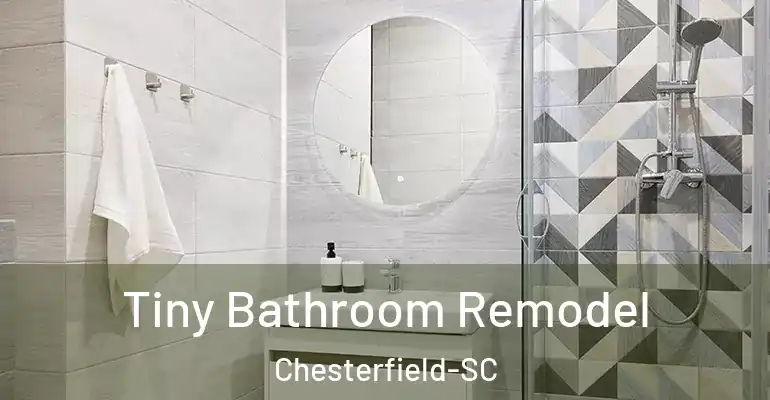 inner Bathroom imggen Tiny Bathroom Remodel Chesterfield-SC
