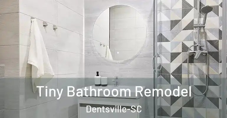 inner Bathroom imggen Tiny Bathroom Remodel Dentsville-SC