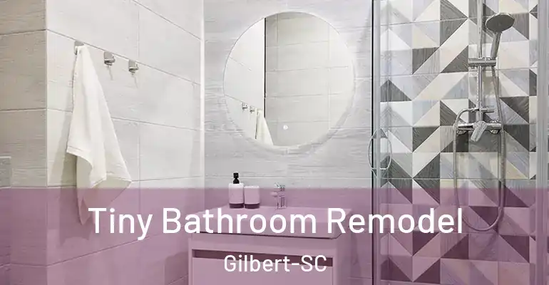 inner Bathroom imggen Tiny Bathroom Remodel Gilbert-SC