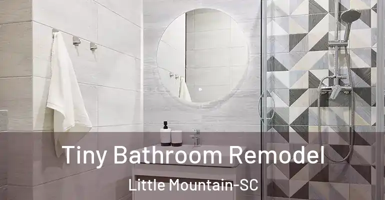 inner Bathroom imggen Tiny Bathroom Remodel Little Mountain-SC