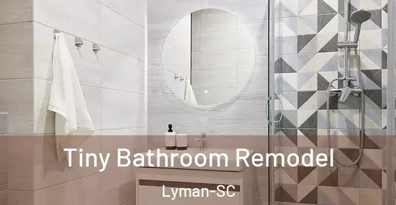 inner Bathroom imggen Tiny Bathroom Remodel Lyman-SC