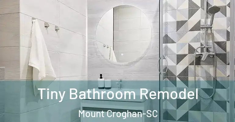inner Bathroom imggen Tiny Bathroom Remodel Mount Croghan-SC