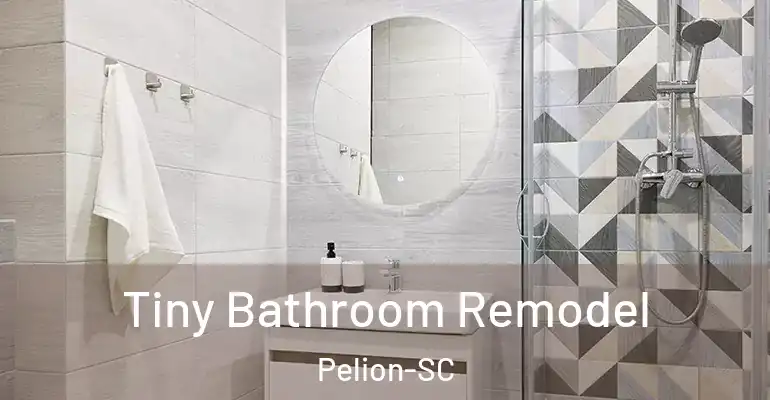 inner Bathroom imggen Tiny Bathroom Remodel Pelion-SC