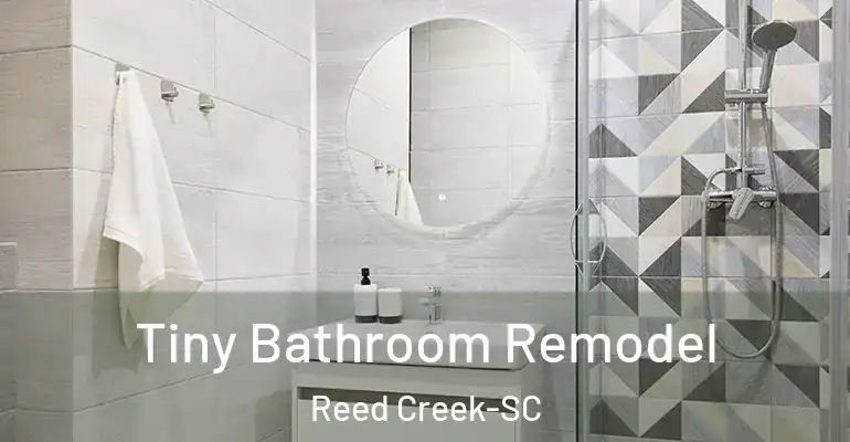 inner Bathroom imggen Tiny Bathroom Remodel Reed Creek-SC