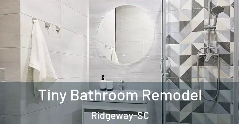 inner Bathroom imggen Tiny Bathroom Remodel Ridgeway-SC