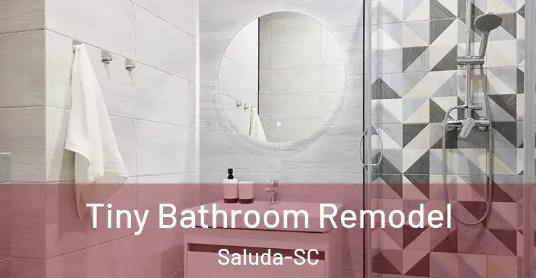 inner Bathroom imggen Tiny Bathroom Remodel Saluda-SC