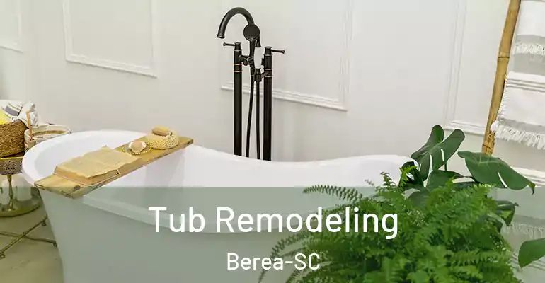 inner Bathroom imggen Tub Remodeling Berea-SC