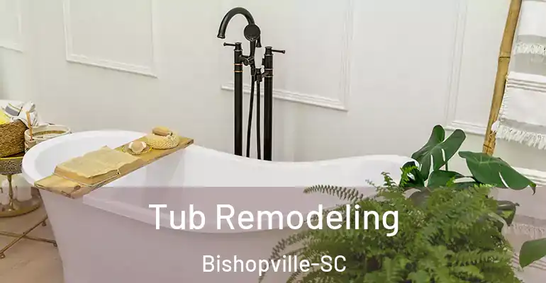 inner Bathroom imggen Tub Remodeling Bishopville-SC
