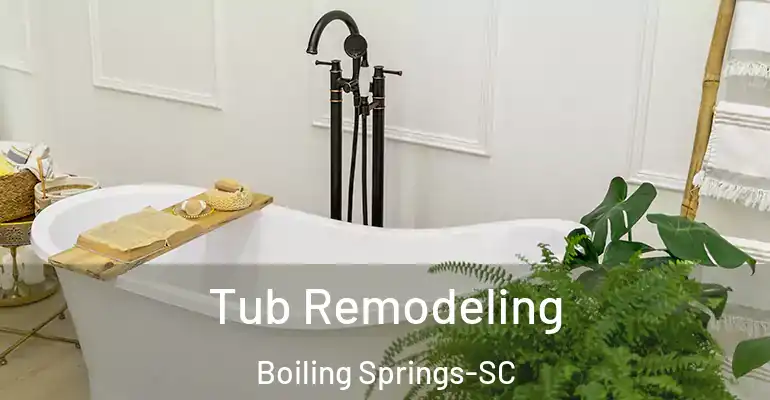 inner Bathroom imggen Tub Remodeling Boiling Springs-SC