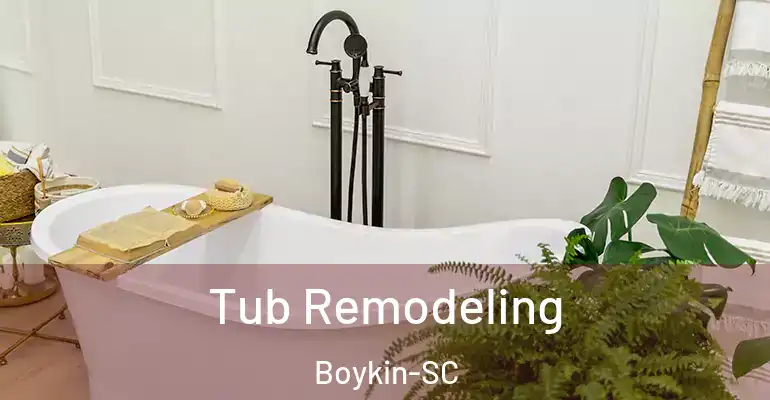 inner Bathroom imggen Tub Remodeling Boykin-SC