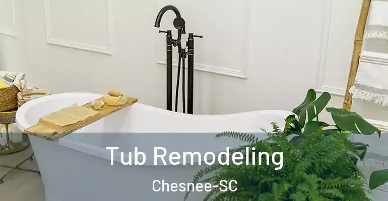 inner Bathroom imggen Tub Remodeling Chesnee-SC