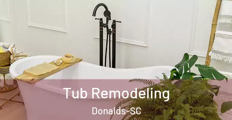 inner Bathroom imggen Tub Remodeling Donalds-SC