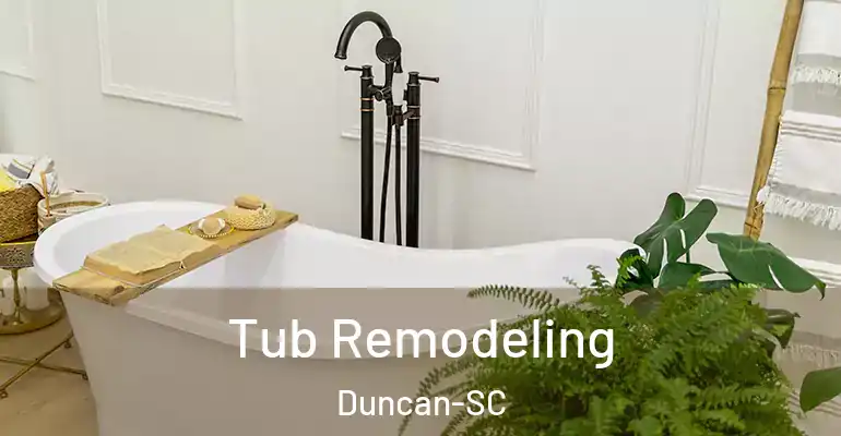 inner Bathroom imggen Tub Remodeling Duncan-SC